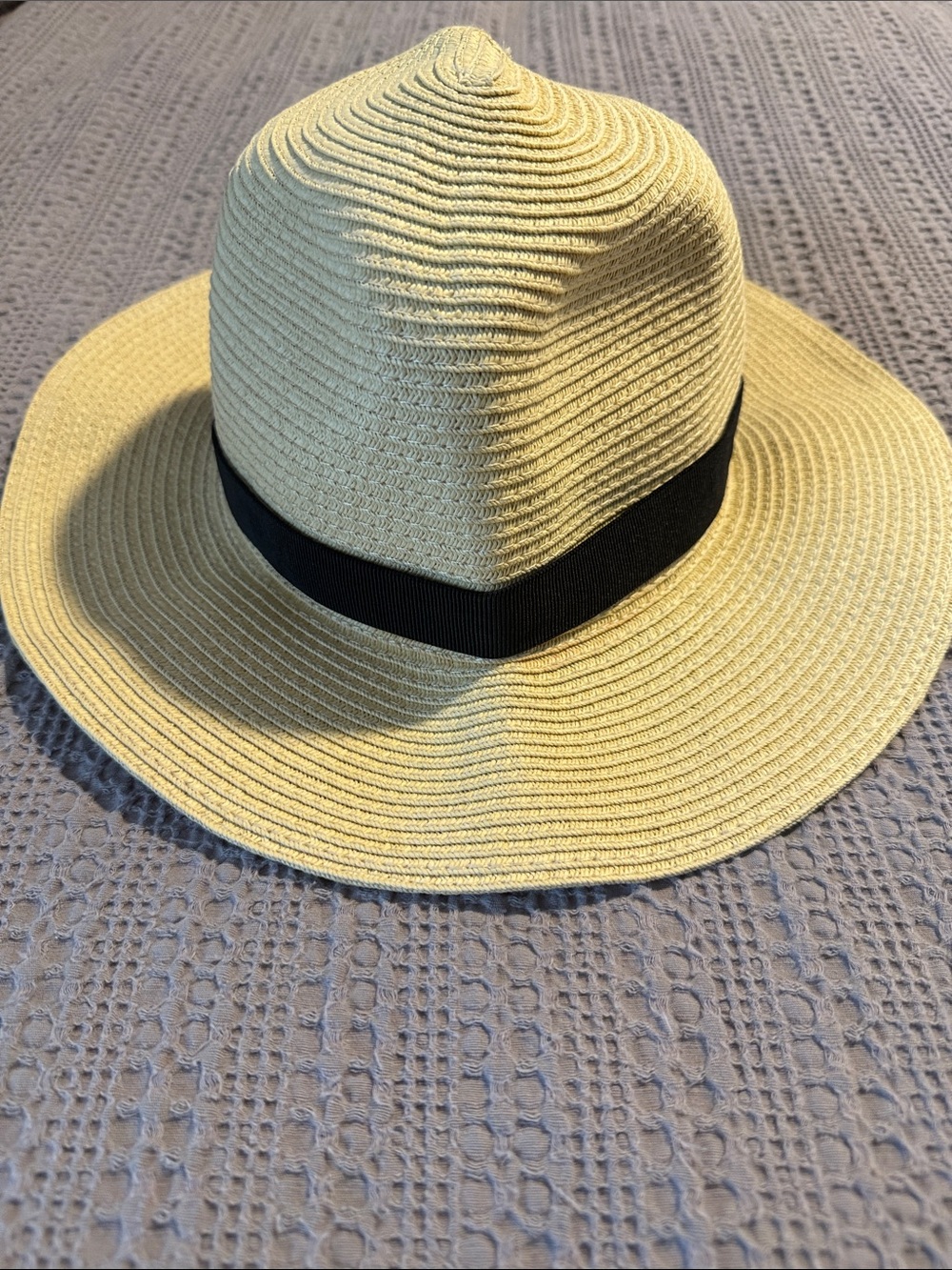 J. Crew Natural Straw Fedora with Black Trim